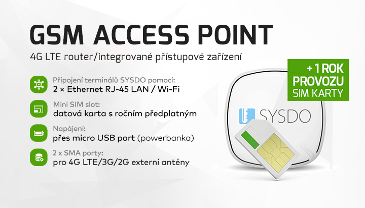 |  GSM Access Point |